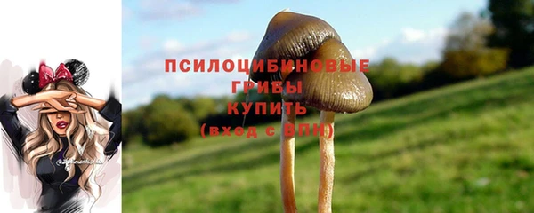 герыч Верхний Тагил