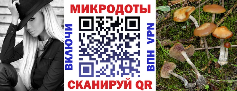 Галлюциногенные грибы Magic Shrooms  хочу   Калуга 